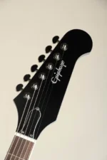 Epiphone Dave Grohl DG-335 Pelham Blue - Image 2