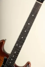 Fender Limited Edition American Ultra Stratocaster Ebony Tiger Eye - Image 4