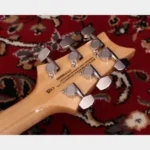 Paul Reed Smith(PRS) SE CUSTOM 24 Turquoise - Image 5