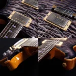 Paul Reed Smith (PRS) Private Stock Brazilian Custom22 2014 - Image 5