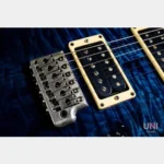 Paul Reed Smith(PRS) Custom24 1st 10Top Quilt Whale Blue Rosewood Neck 2008 - Image 8