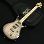 Paul Reed Smith(PRS)  SWAMP ASH SPECIAL MAPLE White Doghair Smokeburst 2025 - Image 3