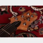Paul Reed Smith(PRS) SE CUSTOM 24 Turquoise - Image 3