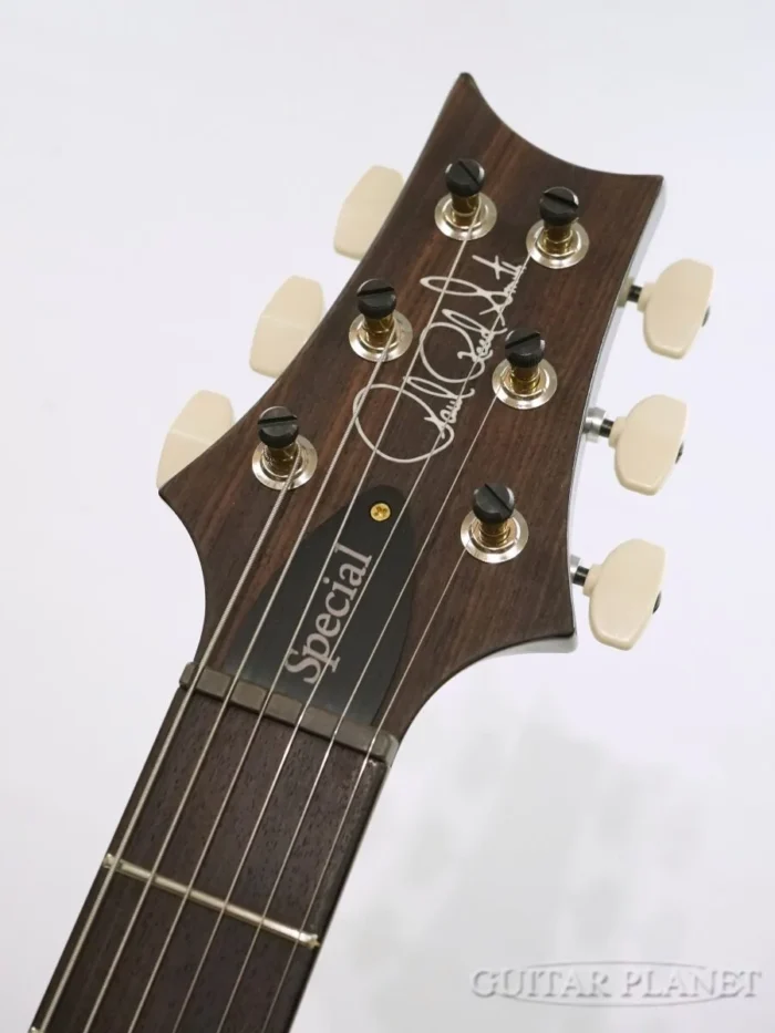 Paul Reed Smith (PRS) Special Semi Hollow 10Top -Cobalt Smokeburst - Image 6