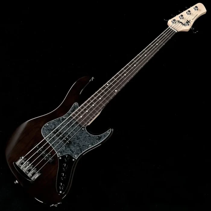 Kikuchi Guitars Hermes Series RV5 Ash Trans Black - Image 1