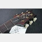 Paul Reed Smith (PRS) CUSTOM 24 10-Top Charcoal Tri-Color Burst/Satin [2025 model/custom order] - Image 4