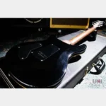 Paul Reed Smith(PRS) Custom24 1st 10Top Quilt Whale Blue Rosewood Neck 2008 - Image 4