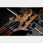 Paul Reed Smith(PRS) Custom24 1st 10Top Quilt Whale Blue Rosewood Neck 2008 - Image 9