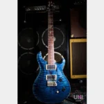 Paul Reed Smith(PRS) Custom24 1st 10Top Quilt Whale Blue Rosewood Neck 2008 - Image 11