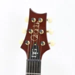 Paul Reed Smith /PRS 2011 Wood Library DGT(David Grissom Trem) / Black Gold Wraparound Burst - Image 6