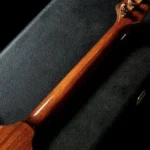 Gibson 1976 Firebird Bicentennial Edition - Image 8