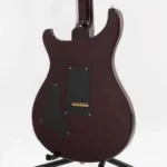 Paul Reed Smith(PRS) [USED] Custom24 Angry Larry 2019 [SN. 19 028858] - Image 5