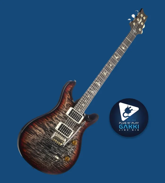 Paul Reed Smith (PRS) CUSTOM 24 10-Top Charcoal Tri-Color Burst/Satin [2025 model/custom order] - Image 1