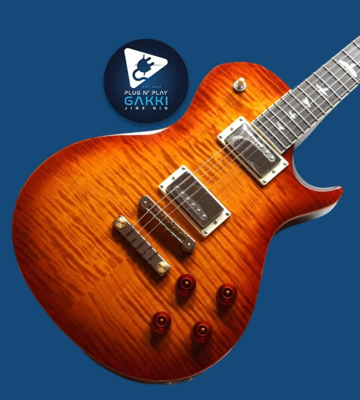Paul Reed Smith (PRS) SE McCarty 594 Singlecut -Vintage Sunburst- 2023 - Image 2