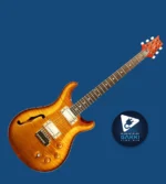 Paul Reed Smith (PRS) DGT Semi Hollow Limited Edition -McCarty Sunburst- 2024