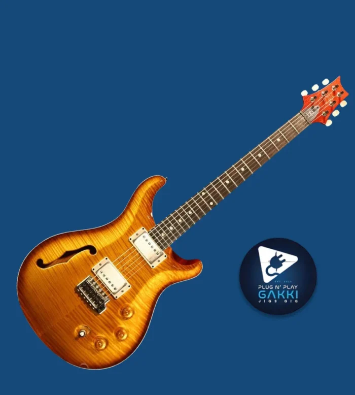 Paul Reed Smith (PRS) DGT Semi Hollow Limited Edition -McCarty Sunburst- 2024 - Image 1