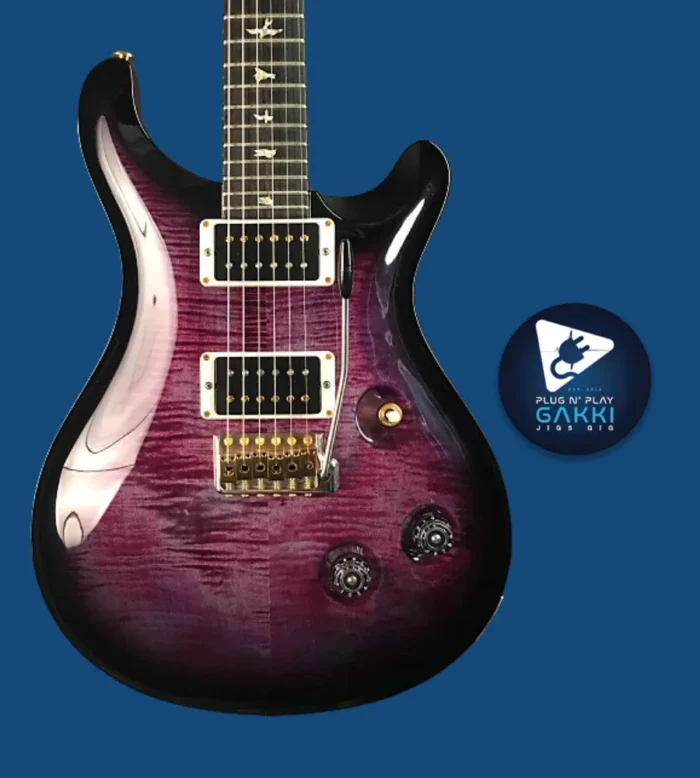 Paul Reed Smith(PRS) [USED] Custom24 Angry Larry 2019 [SN. 19 028858] - Image 2