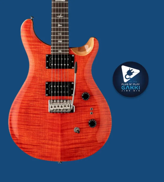 Paul Reed Smith(PRS) KID Limited Custom 24 Chamber 10Top (Blood Orange) - Image 2
