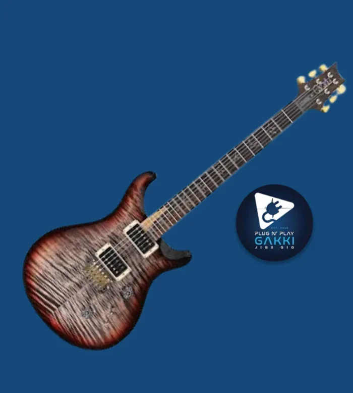 Paul Reed Smith (PRS) CUSTOM 24 10-Top Charcoal Tri-Color Burst/Satin [2025 model/custom order] - Image 1