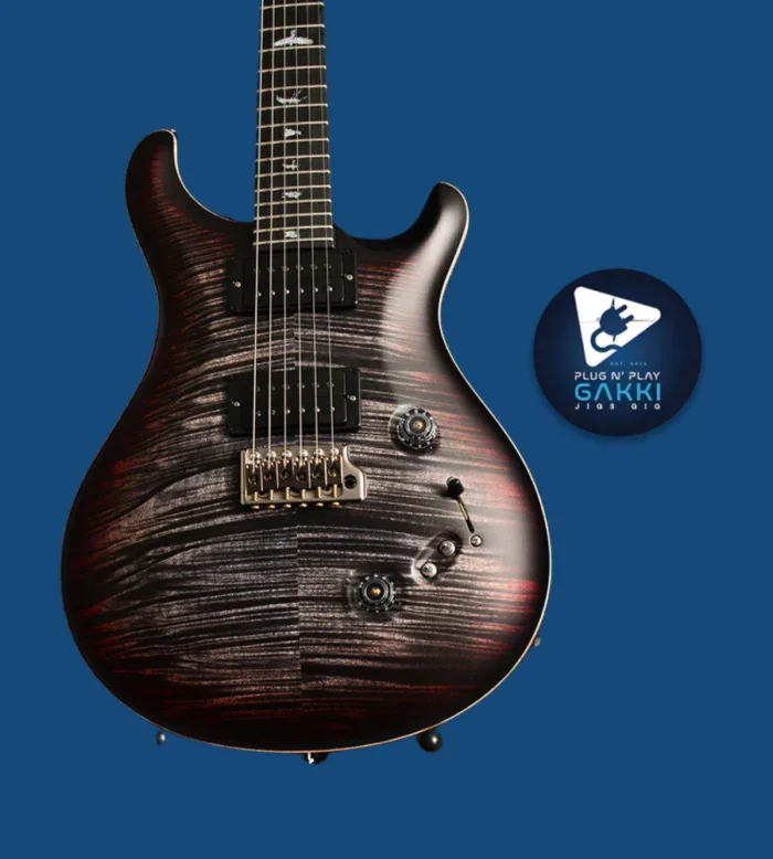 Paul Reed Smith (PRS) CUSTOM 24 10-Top Charcoal Tri-Color Burst/Satin [2025 model/custom order] - Image 2