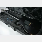 Paul Reed Smith (PRS) CUSTOM 24 10-Top Charcoal Tri-Color Burst/Satin [2025 model/custom order] - Image 8
