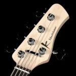 Kikuchi Guitars Hermes Series RV5 Ash Trans Black - Image 5