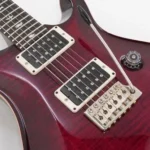 Paul Reed Smith(PRS) [USED] Custom24 Angry Larry 2019 [SN. 19 028858] - Image 7