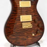 Paul Reed Smith /PRS 2011 Wood Library DGT(David Grissom Trem) / Black Gold Wraparound Burst - Image 11