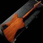 Gibson 1976 Firebird Bicentennial Edition - Image 12