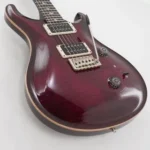 Paul Reed Smith(PRS) [USED] Custom24 Angry Larry 2019 [SN. 19 028858] - Image 10