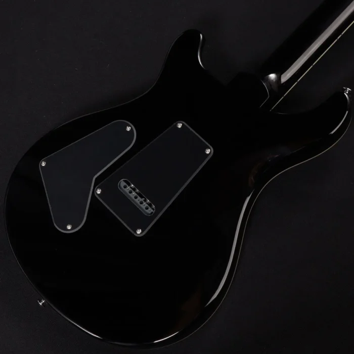 PRS SE Custom 24 VI - Image 6