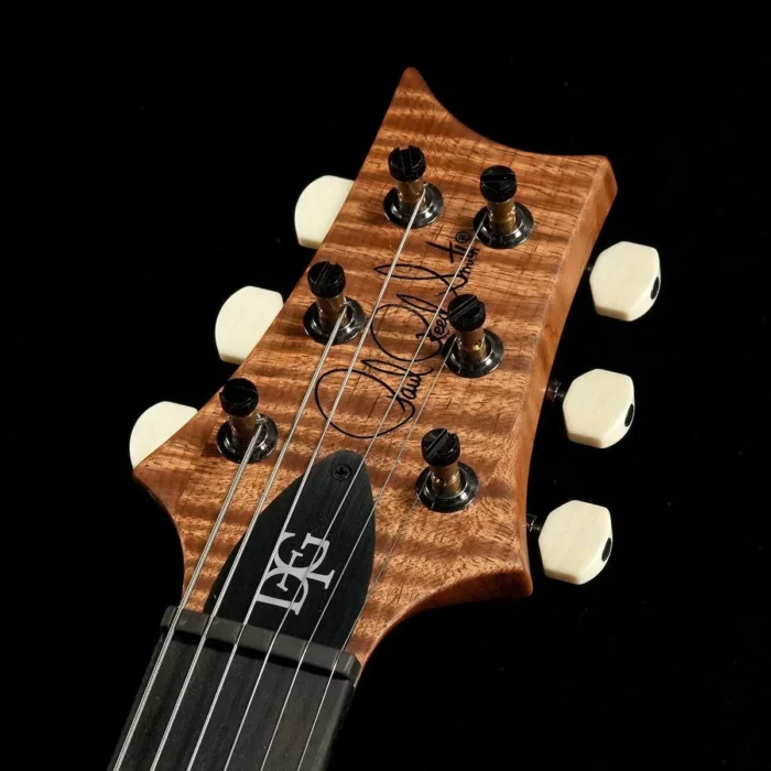 PRS 2025 DGT Semi-Hollow Pilot Run Custom Color (Sunburst) - Image 6