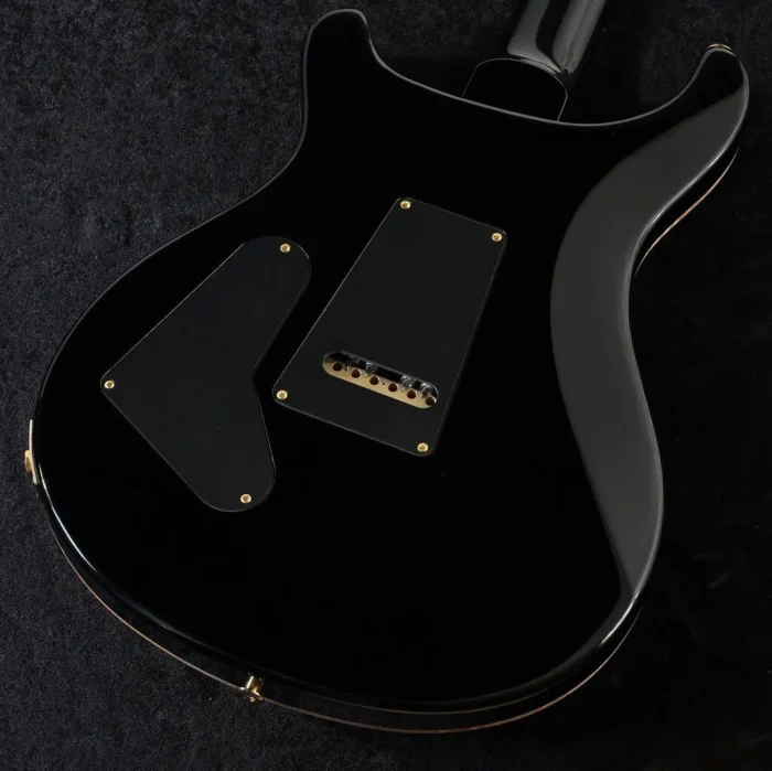 PRS 2025 Custom 24-10-Top Pattern Thin Neck (Gray Black) - Image 4