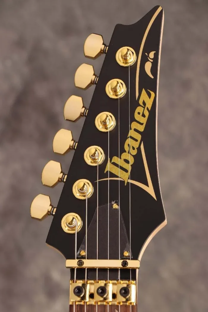 "Ibanez ""Paradise in Art"" Steve Vai signature PIA3761 Onyx Black Ibanez" - Image 8