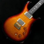 PRS 2024 DGT w/Bird Inlays 10Top Custom Color (Tri-Color Sunburst) - Image 2