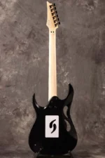 "Ibanez ""Paradise in Art"" Steve Vai signature PIA3761 Onyx Black Ibanez" - Image 5
