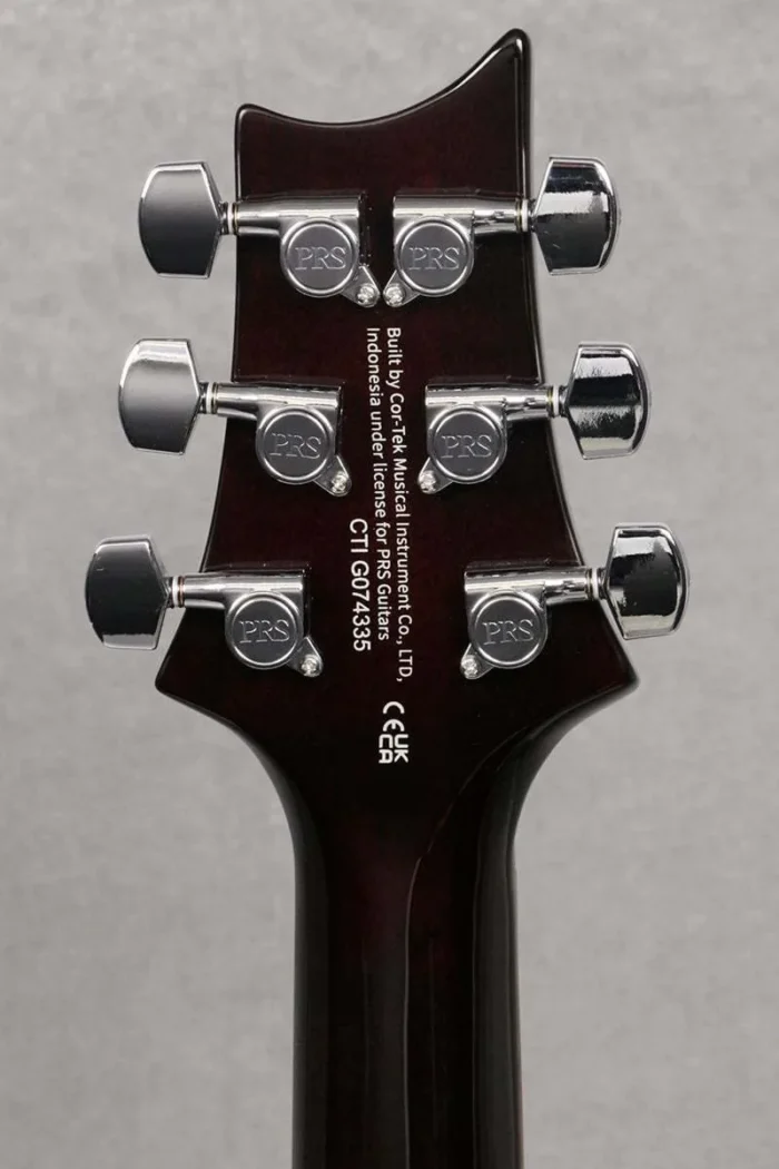PRS SE 2024 SE DGT Bird Inlays McCarty (Tobacco Sunburst) - Image 10