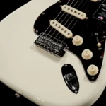 Fender American Professional II Stratocaster Rosewood (Olympic White) - Image 10