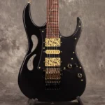 "Ibanez ""Paradise in Art"" Steve Vai signature PIA3761 Onyx Black Ibanez"