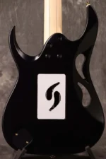 "Ibanez ""Paradise in Art"" Steve Vai signature PIA3761 Onyx Black Ibanez" - Image 7