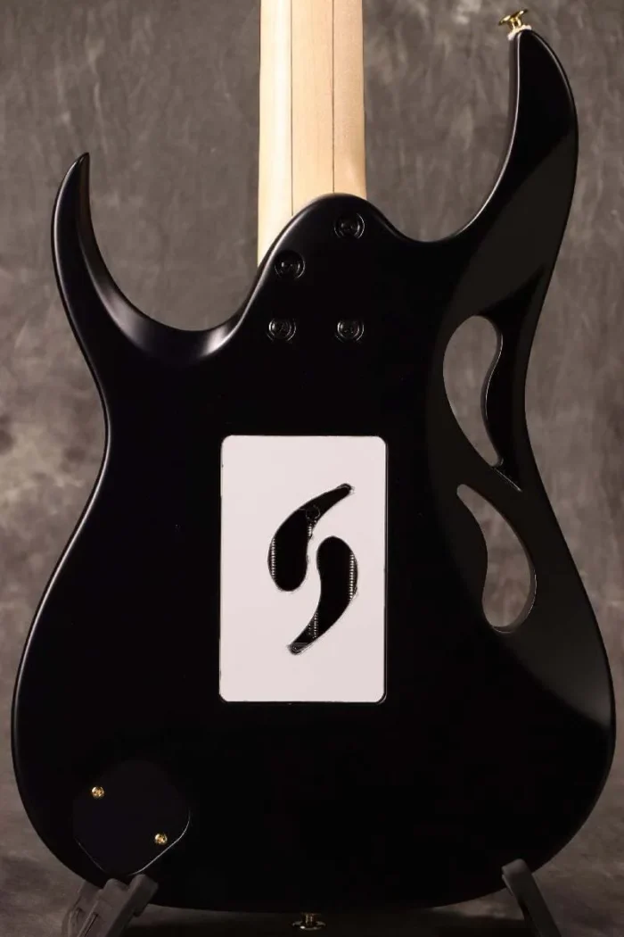 "Ibanez ""Paradise in Art"" Steve Vai signature PIA3761 Onyx Black Ibanez" - Image 7