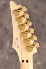 "Ibanez ""Paradise in Art"" Steve Vai signature PIA3761 Onyx Black Ibanez" - Image 9