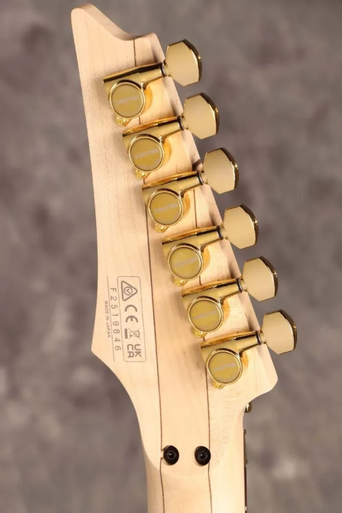 "Ibanez ""Paradise in Art"" Steve Vai signature PIA3761 Onyx Black Ibanez" - Image 9