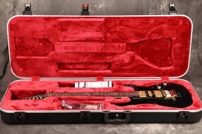 "Ibanez ""Paradise in Art"" Steve Vai signature PIA3761 Onyx Black Ibanez" - Image 11