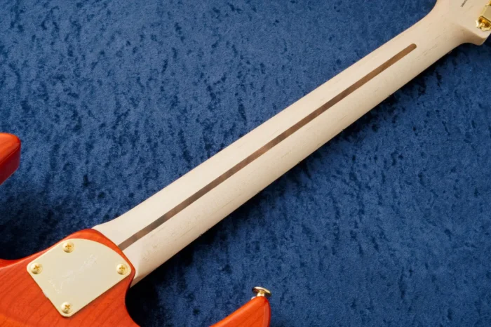 Fujigen (FGN) EOSN-FM-R Ripe Kaki Gradiation - Image 11