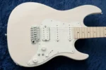 Fujigen (FGN) EOS2-ASH-M -(White Blonde) - Image 4