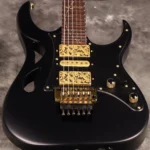 "Ibanez ""Paradise in Art"" Steve Vai signature PIA3761 Onyx Black Ibanez" - Image 3