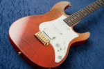 Fujigen (FGN) EOSN-FM-R Ripe Kaki Gradiation - Image 8