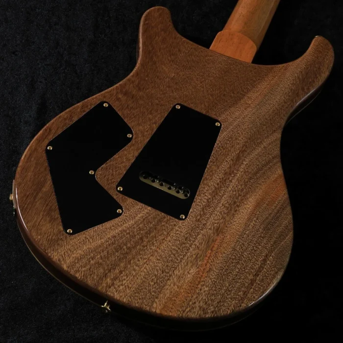 PRS 2025 Modern Eagle V 10Top Pattern Neck (Charcoal) - Image 3