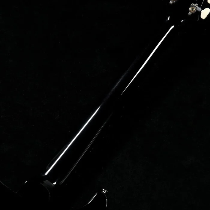 PRS 2025 Custom 24 Pattern Thin Neck (Black) - Image 5